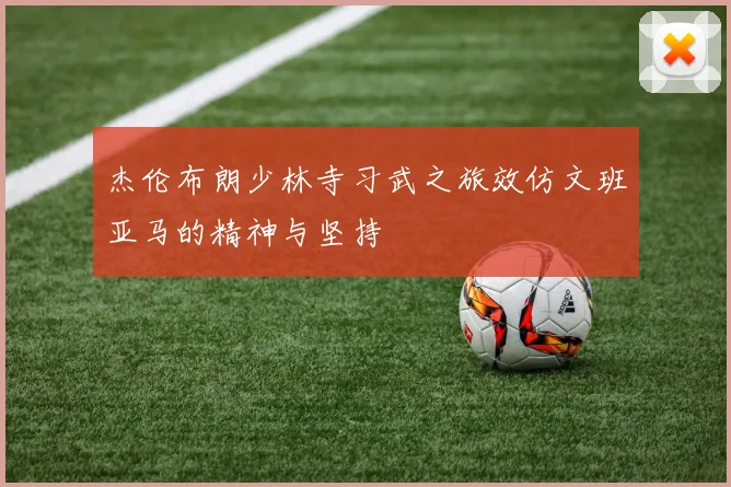 杰伦布朗少林寺习武之旅效仿文班亚马的精神与坚持
