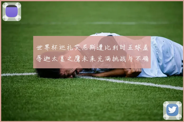 世界杯巡礼突尼斯遭比利时五球羞辱迦太基之鹰未来充满挑战与不确定性